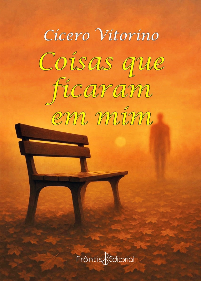 Capa: Coisas que ficaram em mim