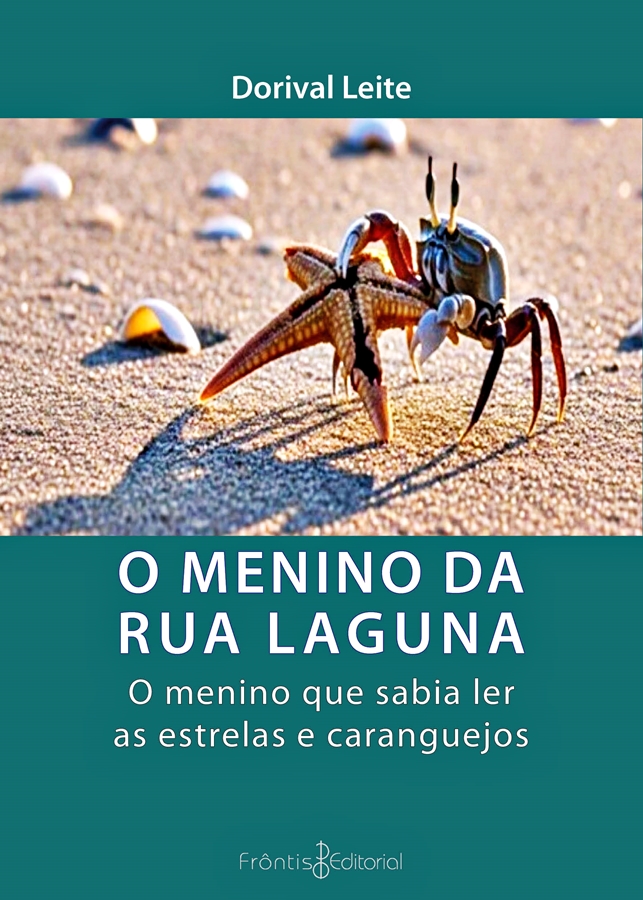 Capa: O menino da rua Laguna